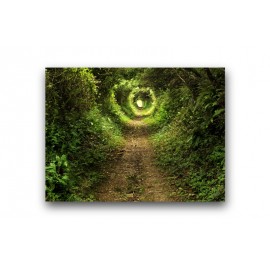 Тоннель в лесу